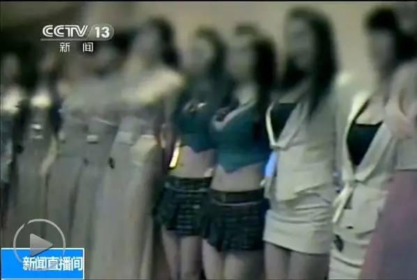 日本黑熊vs泰森视频直播，一场不可能的对决，为什么全网都在聊？